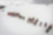 20190302_120614_DJI_0115-nostick_nostone